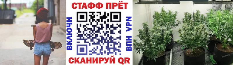 Виды наркоты Выкса ГЕРОИН Псилоцибиновые грибы АМФЕТАМИН Каннабис ГАШ Alpha-PVP