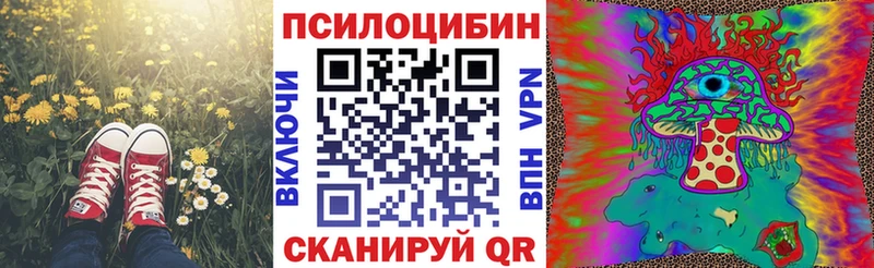 где купить наркоту  Выкса  Галлюциногенные грибы Cubensis 