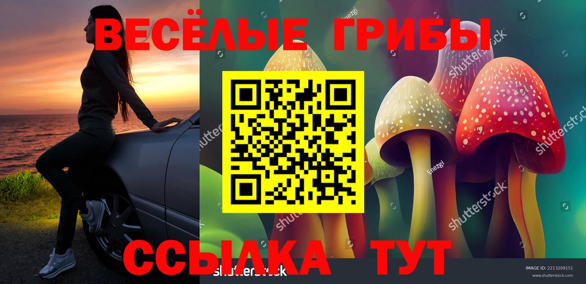 Псилоцибиновые грибы Psilocybe Выкса