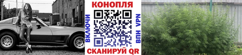 Канабис Ganja  где найти наркотики  Выкса 